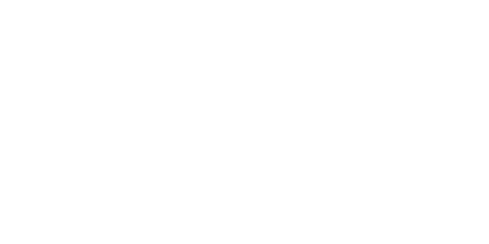 LapIT